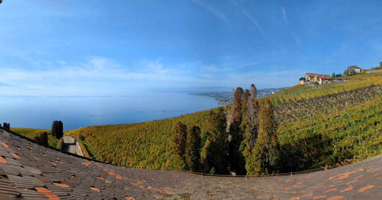 Domaine De La Crausaz Grandvaux Esterno foto